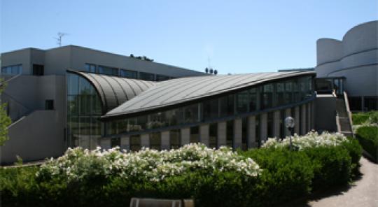 Faculté de Droit