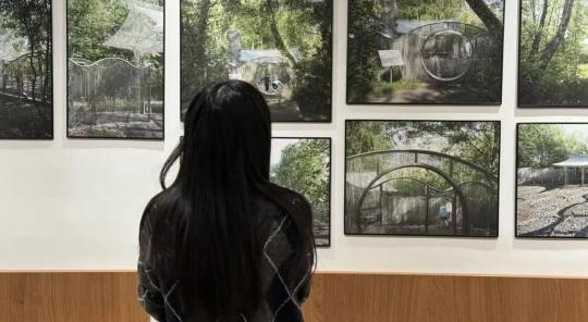 Personne de dos regardant plusieurs photos de l'exposition accrochées au mur.